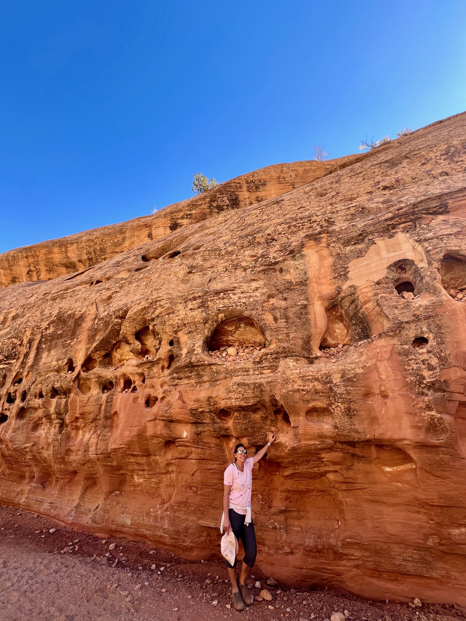 Hole'y rocks on Grand Wash Trail/