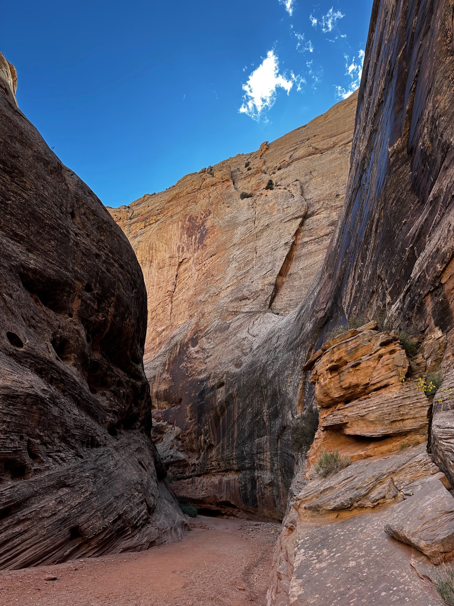 Narrows on Grand Wash Trail /