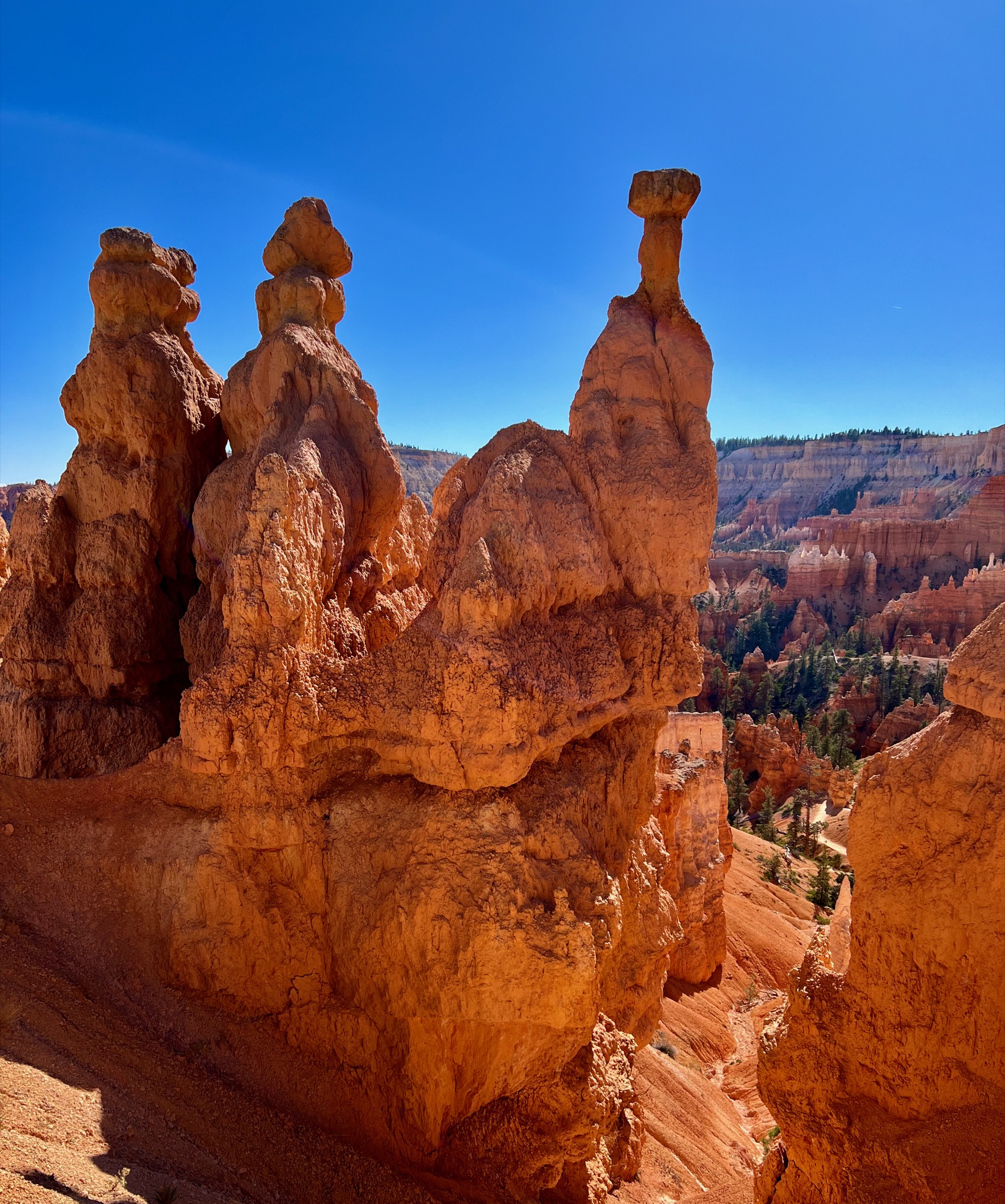Queens Garden Trail, Bryce Canyon National Park /