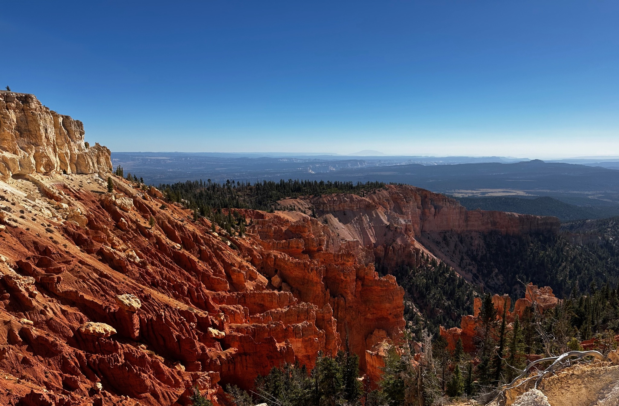 Bristlecone Point Loop Trail/