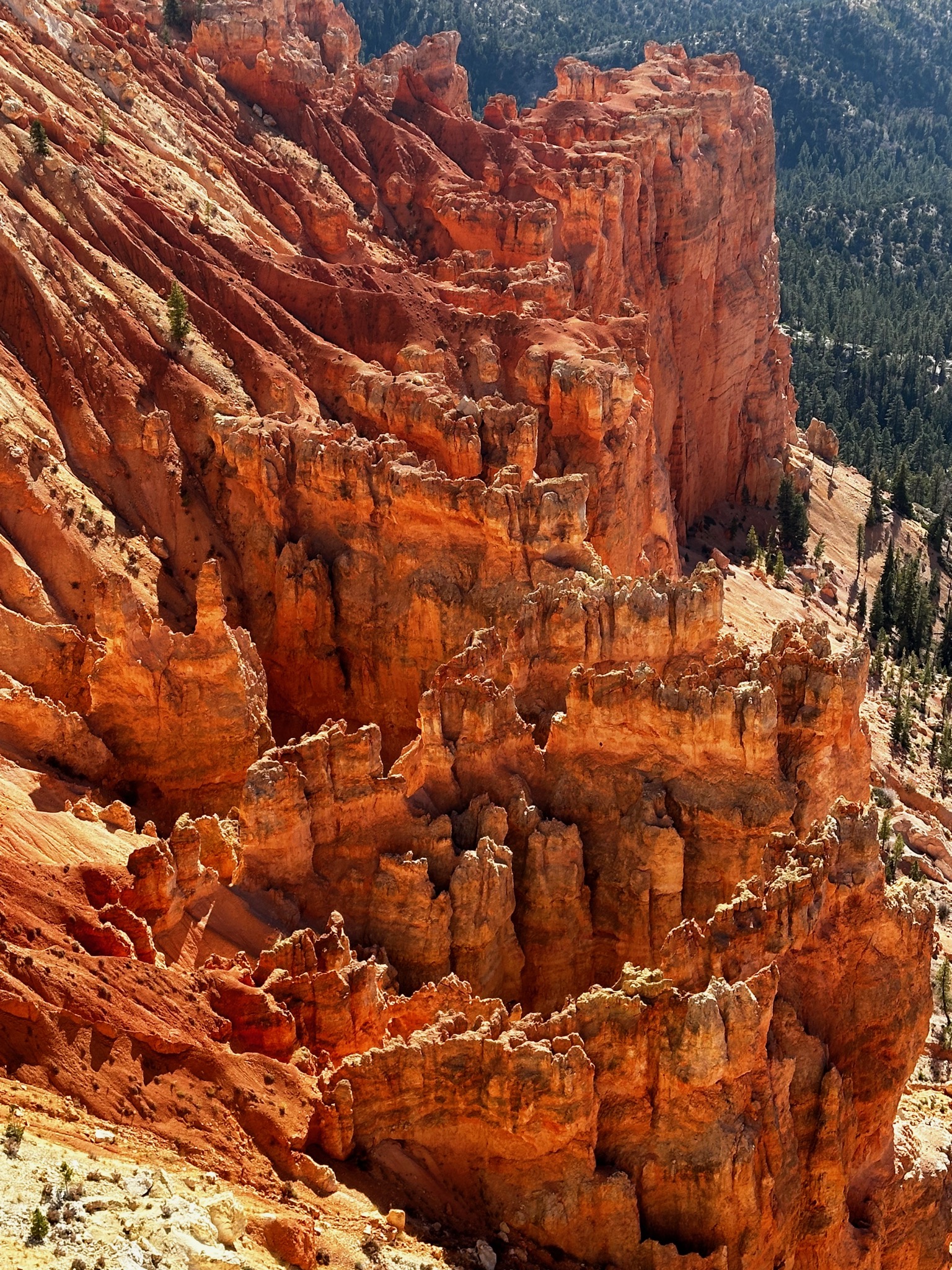 Yovimpa Point Trail/