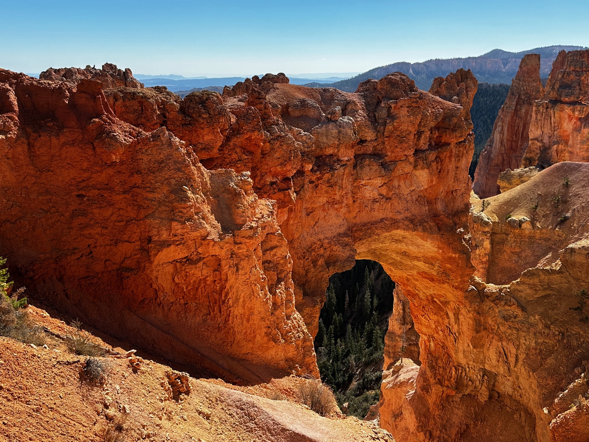 Another natural bridge @8627'/Bryce Canyon National Park, UT, USA