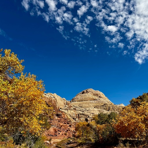 The namesake Capitol bump?/
		    1503 UT-24, Torrey, UT 84775, USA