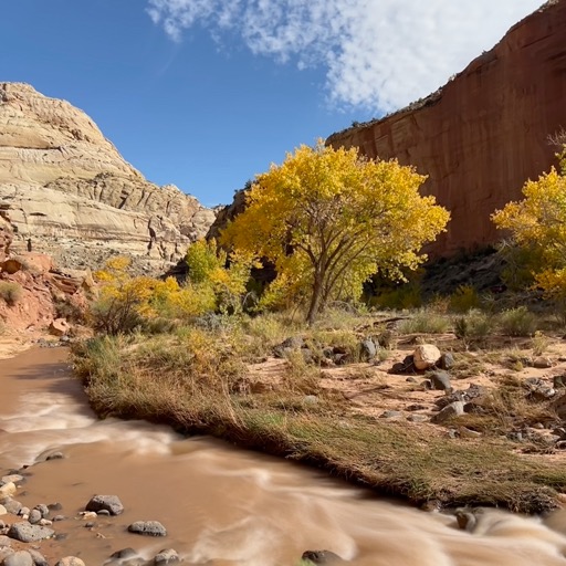 Hickman Bridge Trail/
		    1503 UT-24, Torrey, UT 84775, USA