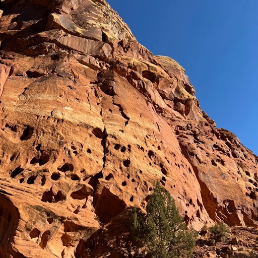 Cassidy Arch trailhead -- Assana for scale/
		    2078 E Grand Wash Rd, Fruita, UT 84775, USA