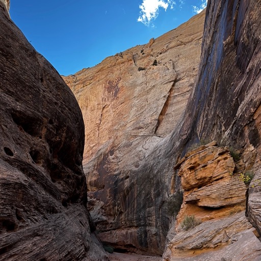 Narrows on Grand Wash Trail /
		    