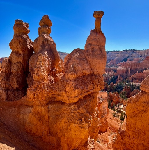 Queens Garden Trail, Bryce Canyon National Park /
		    