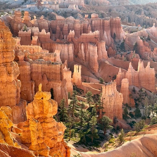 Rim Trail, Bryce Canyon National Park /
		    