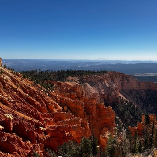 Bristlecone Point Loop Trail/
		    