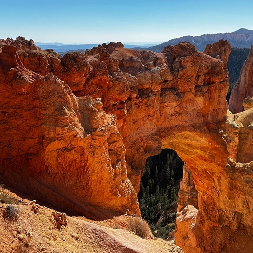 Another natural bridge @8627'/
		    Bryce Canyon National Park, UT, USA