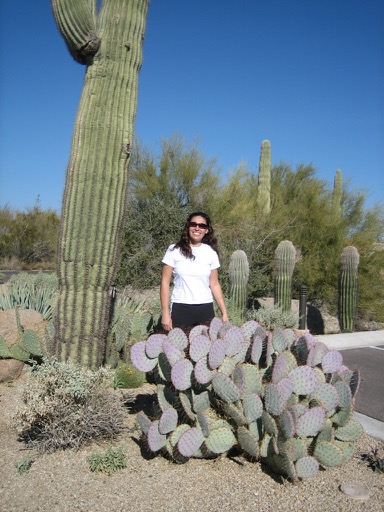 Assana & Pricklies