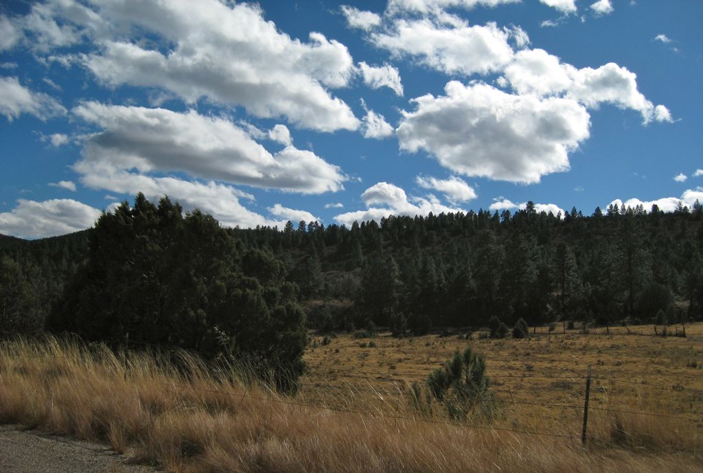 Lincoln National Forest… Doesn't look like New Mexico, does it?/