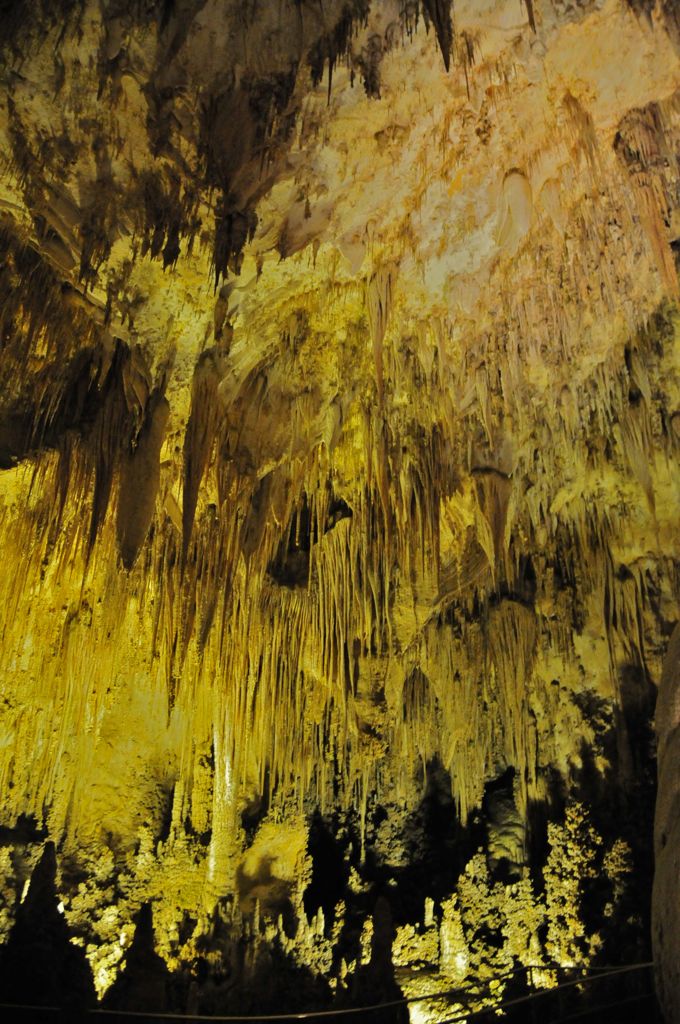 Crystal Springs Dome/