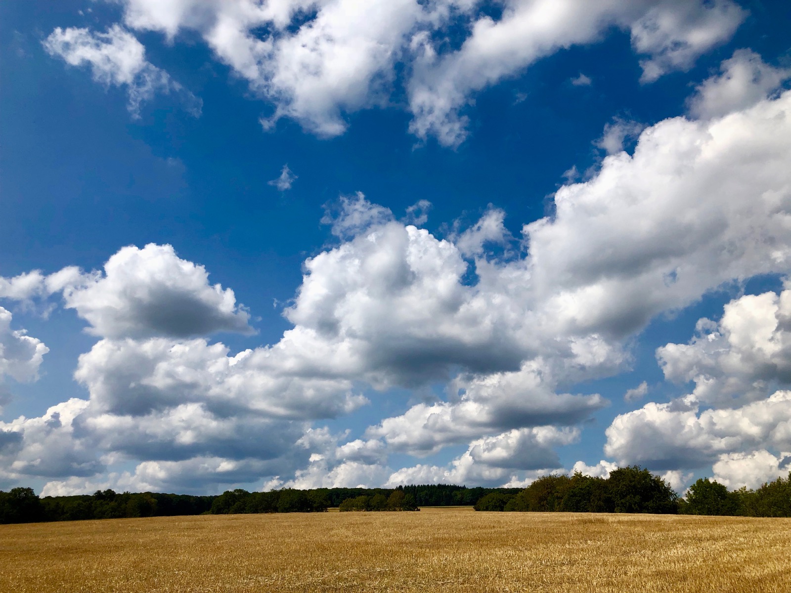 Luxembourg's countryside/
