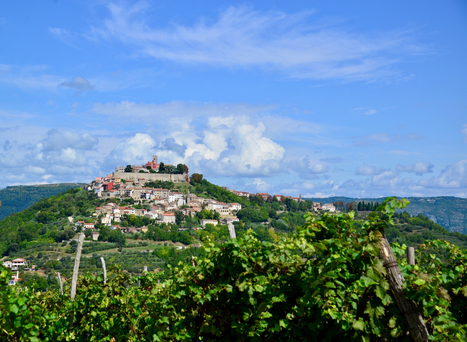 Motovun, Istria - Croatia/