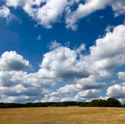 Luxembourg's countryside/
		    