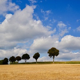 More Luxembourg countryside. Good bye Luxembourg.../
		    