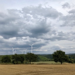 A gaggle of windmills... some of many many herds all over Germany/
		    