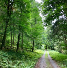 A super pretty hiking path/
		    