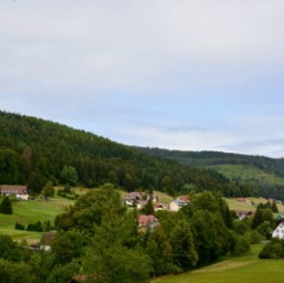 Entering the Alps/
		    