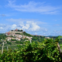 Motovun, Istria - Croatia/
		    