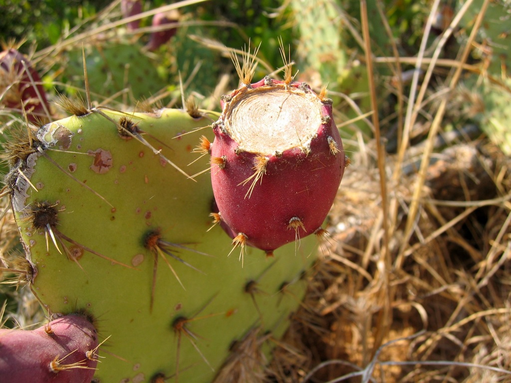 Nooooo! Don't touch that!/