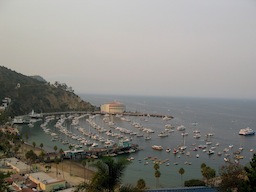 Avalon's harbor and casino