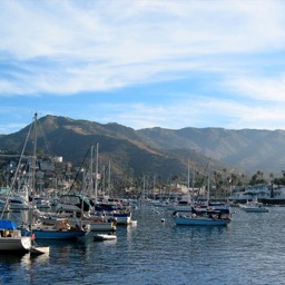 Avalon's harbor/
		    