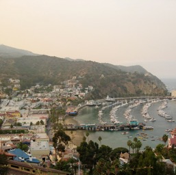 Fatalon's casino & harbor/
		    