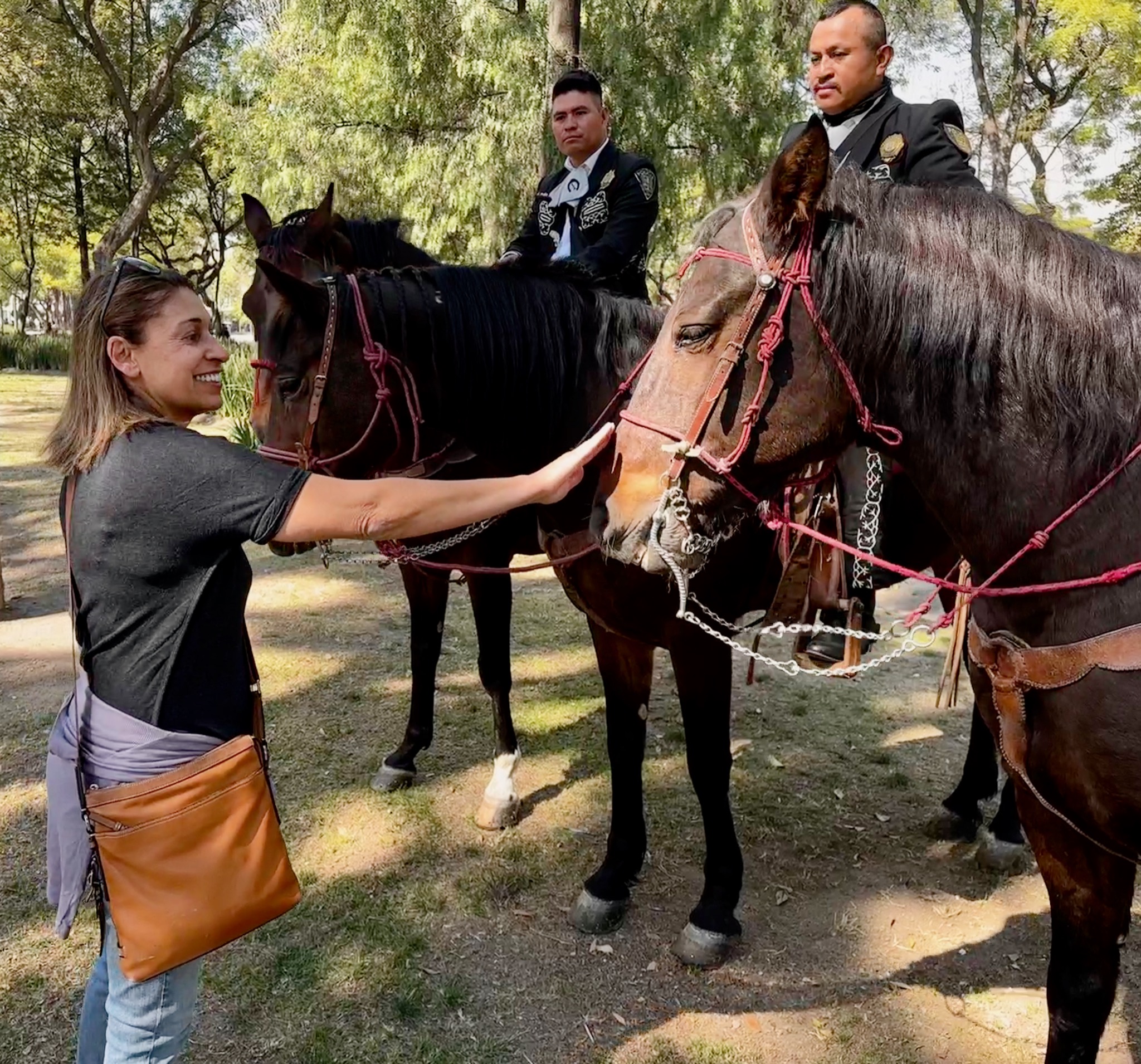 Assana found horses to pet... the policemen's horse/