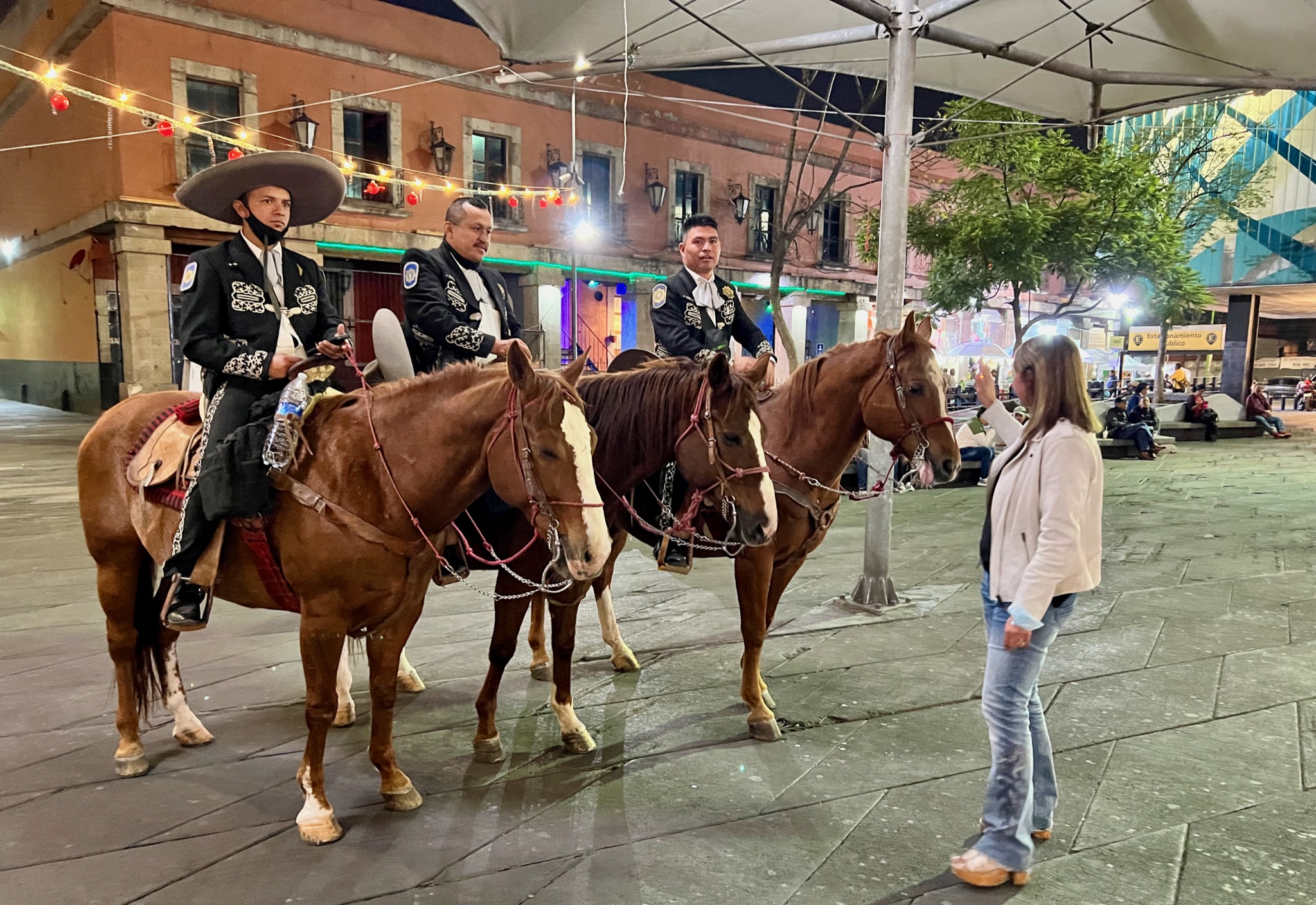 Assana finds her horses again -- same horses!/