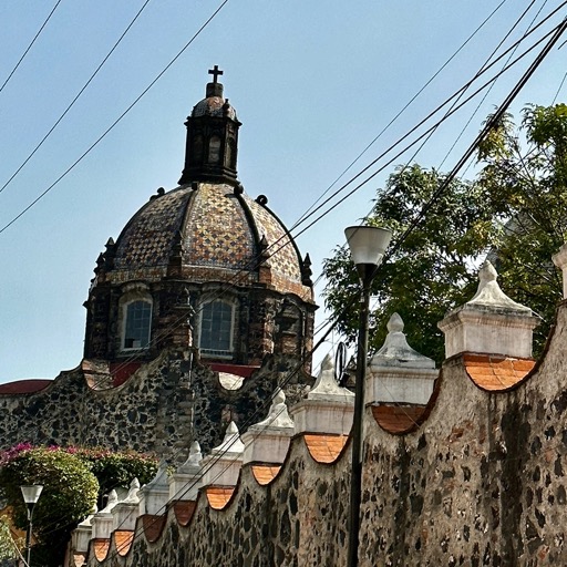 Museo del Carmen, San Ángel/
		    