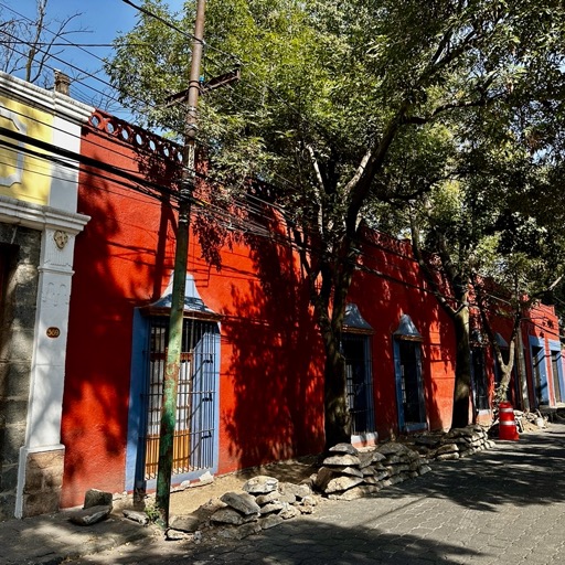 Avenida Francisco Sosa, aka the most picturesque street in CDMX/
		    