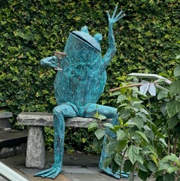 Jolly frog!/
		    