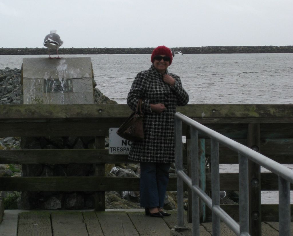 Mom and the massive seagull/