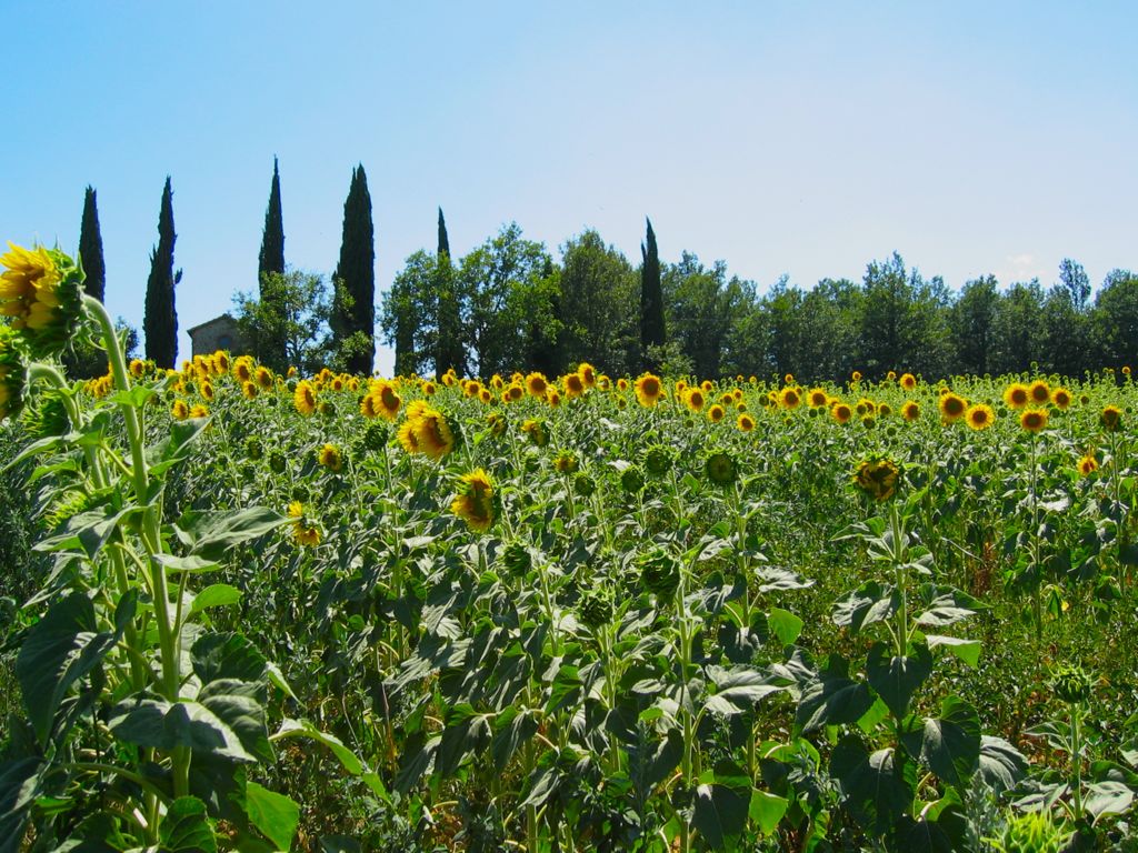 Heading towards Monticiano/