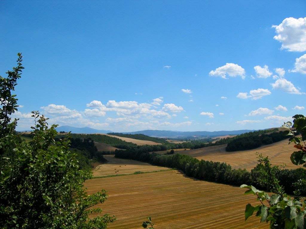 Tuscan countryside/