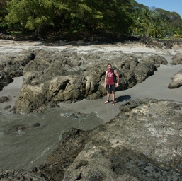 Taking a walk on the beach/
		    