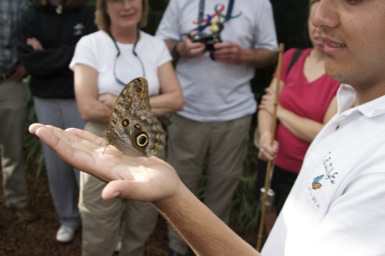 Butterfly farm/
		    