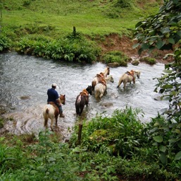 Crossing the river/
		    