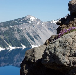 Views on the hike /
		    