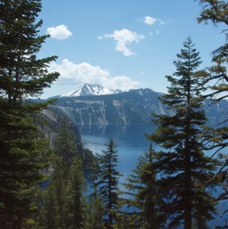 Another view from our hike/
		    