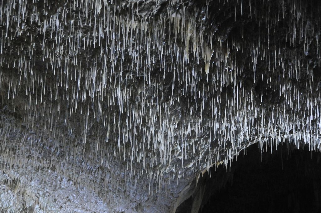 Spaghetti formations!/