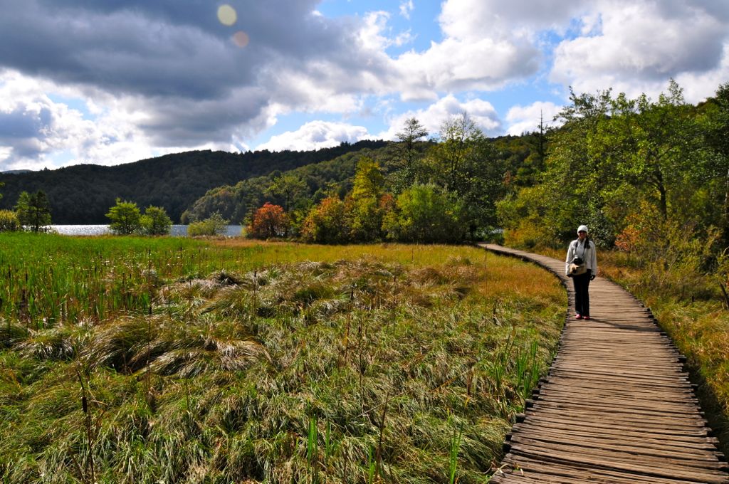 The boardwalk that meanders around all the lakes/