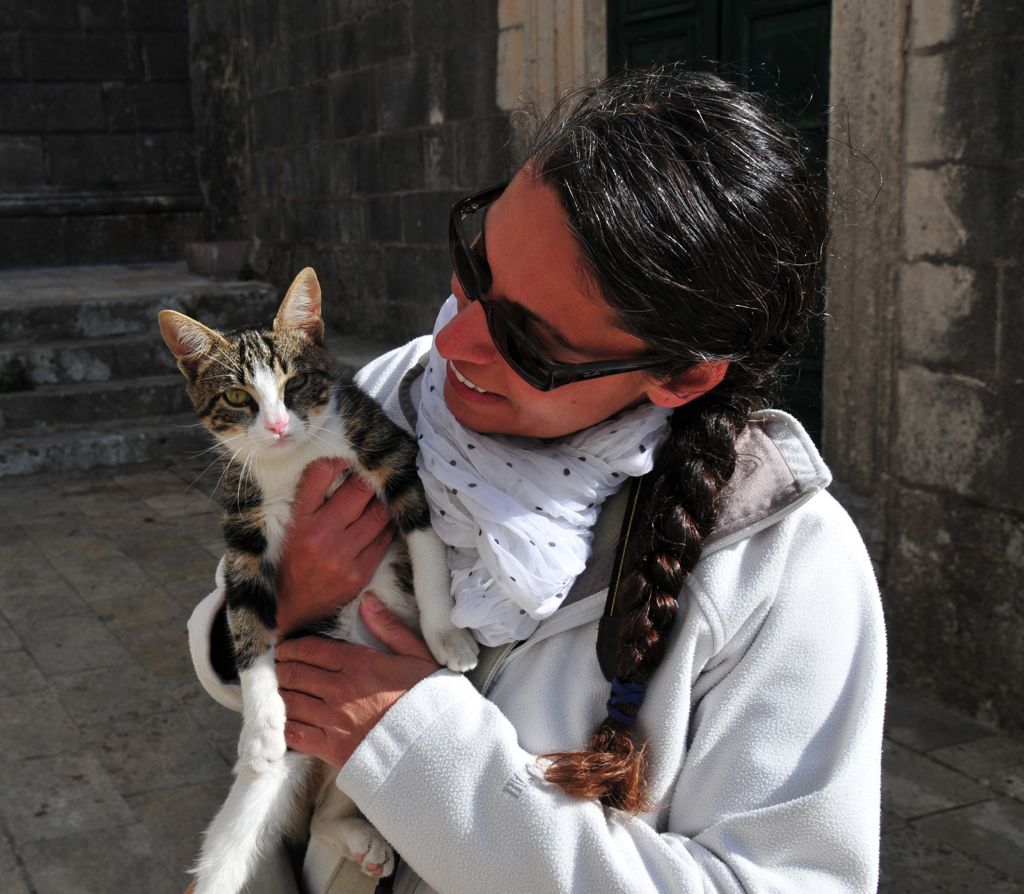 The kitty we bought some patté for/