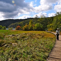 The boardwalk that meanders around all the lakes/
		    