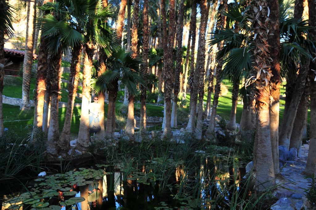 The gardens at Furnace Creek Inn/