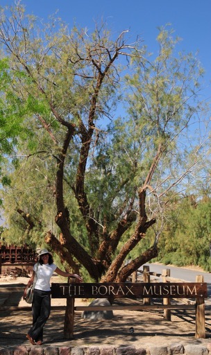 Borax Museum