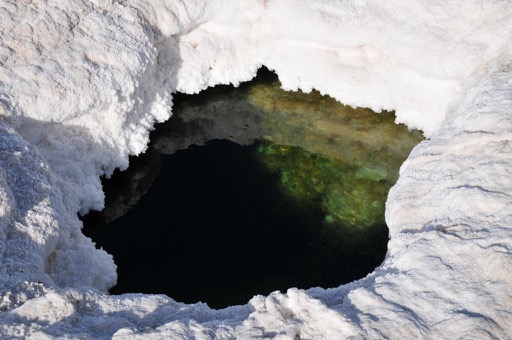 Water hole