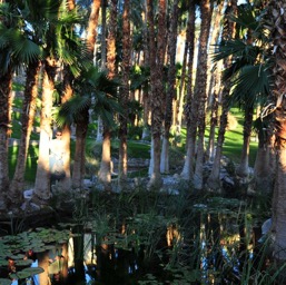 The gardens at Furnace Creek Inn/
		    